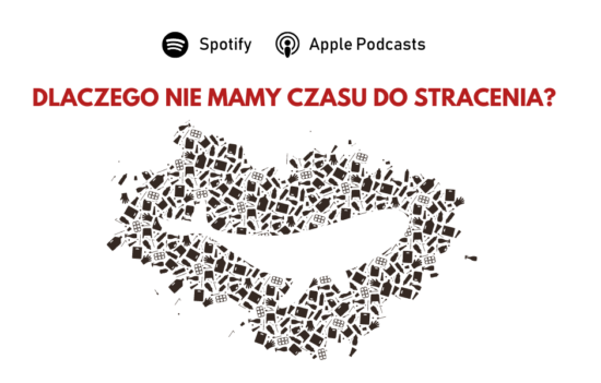 Śmieci płynące na wodzie, przerwa między nimi układa się w kształt wieloryba. Na górze pytanie: "Dlaczego nie mamy czasu do stracenia?".