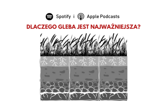 Obrazek przedstawia pionowy przekrój profilu glebowego, na którym widać poszczególne warstwy gleby - począwszy od trawy, aż do korzeni. Nad przekrojem umiejscowiony jest tytuł: "Dlaczego gleba jest najważniejsza?".